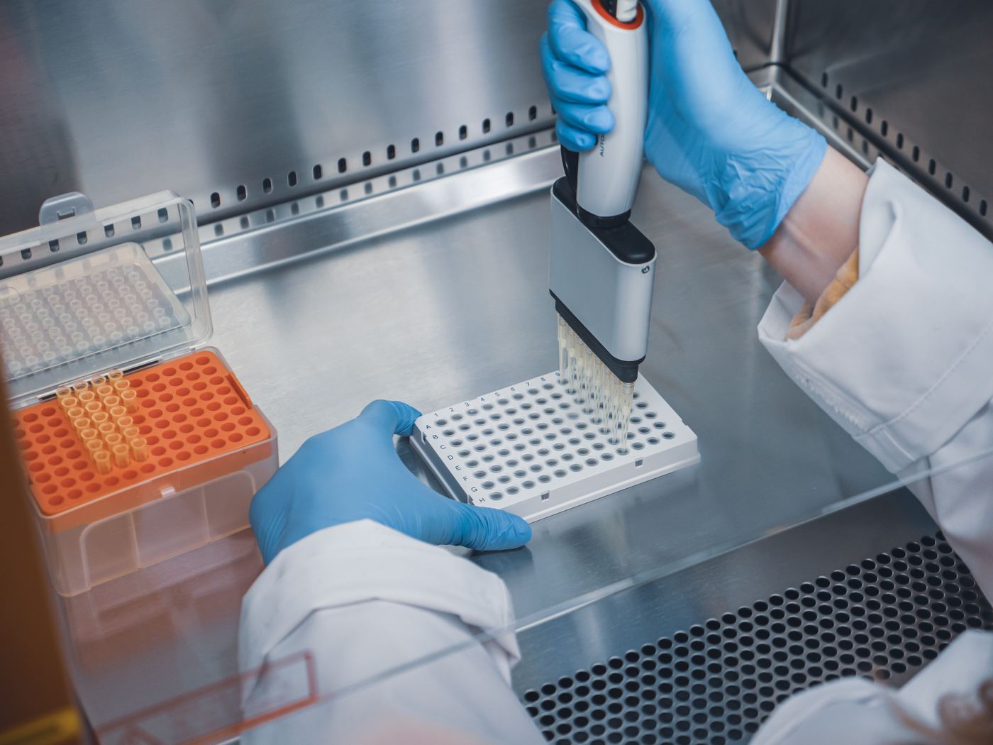 A scientist pipetting samples into a 96-well plate